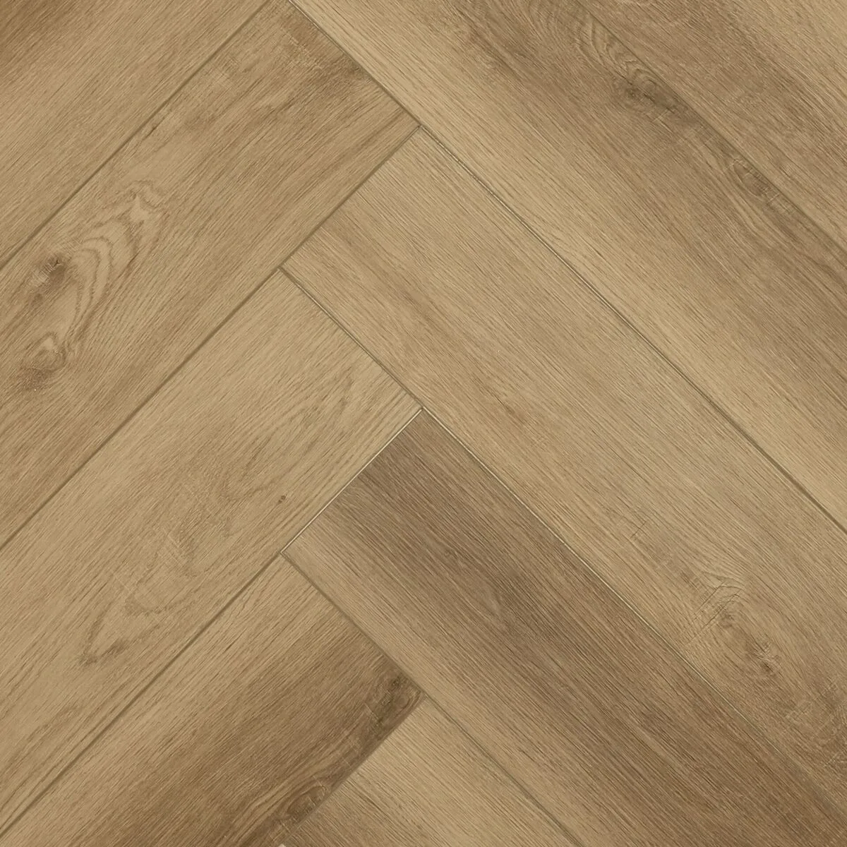 Туманный дуб