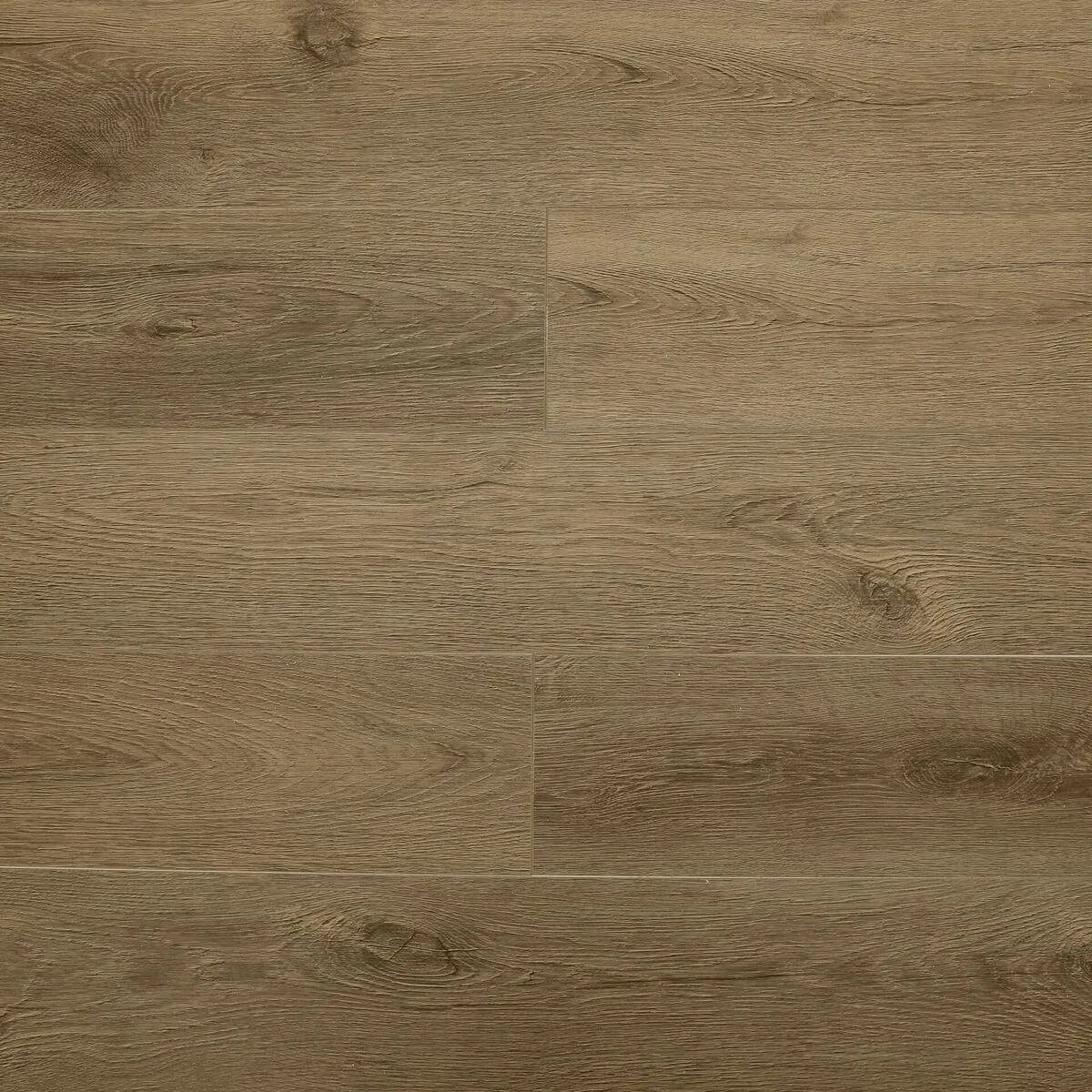 Медовый орех