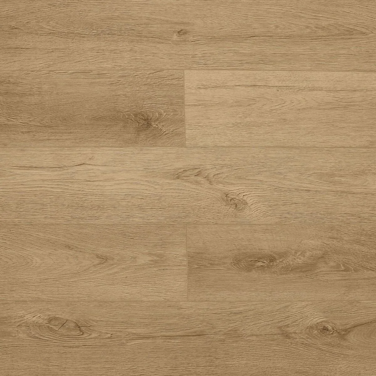 Лесной рассвет